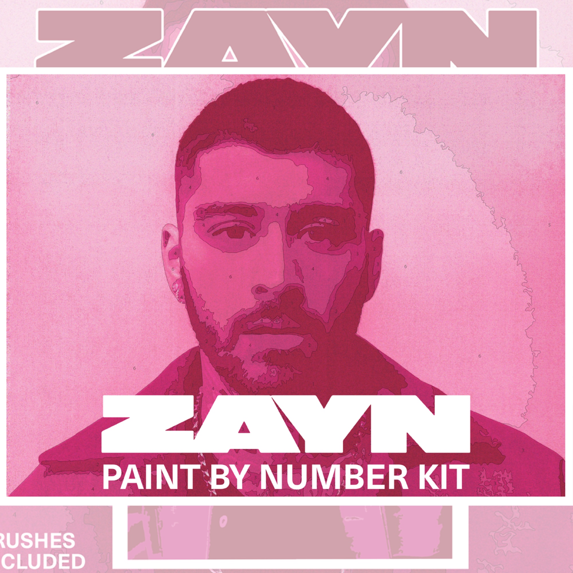 ZAYN II
